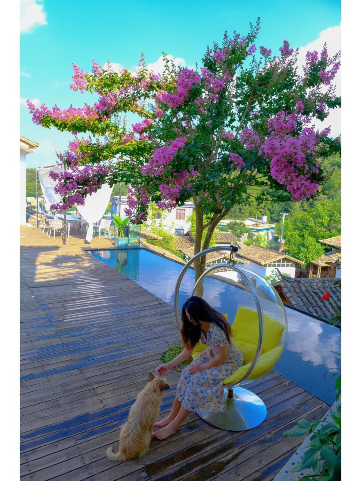 קונמינג No Flowers Boutique Hostel מראה חיצוני תמונה
